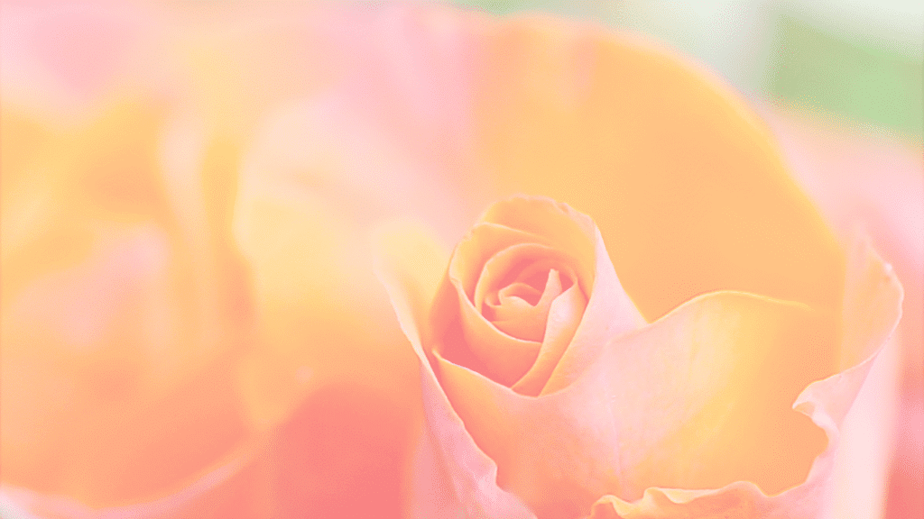 Flowers And The Zodiac Intuitive Nature